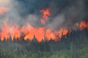 Study Reveals Canadian Wildfires Released More Greenhouse Gases Than Major Nations in 2023