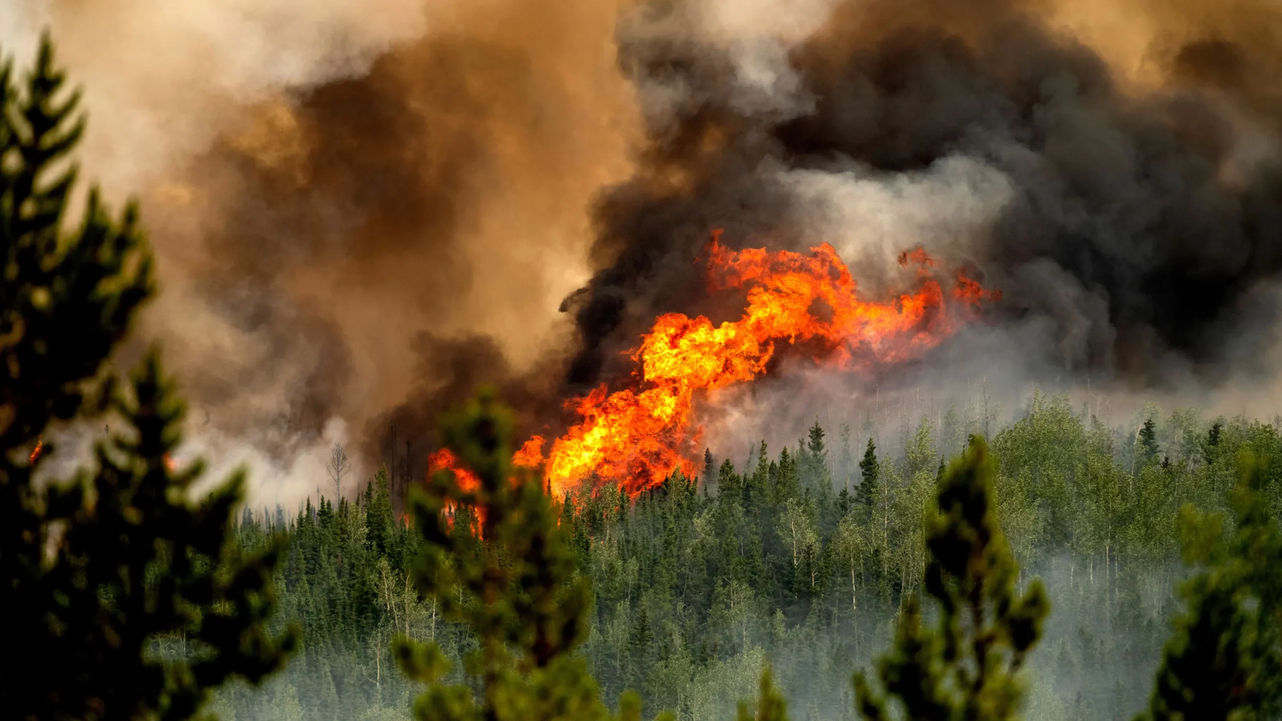 Study Reveals Canadian Wildfires Released More Greenhouse Gases Than Major Nations in 2023