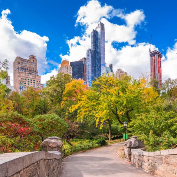 Study Reveals Hidden Air Quality Risks from New York City's Tree Planting Efforts