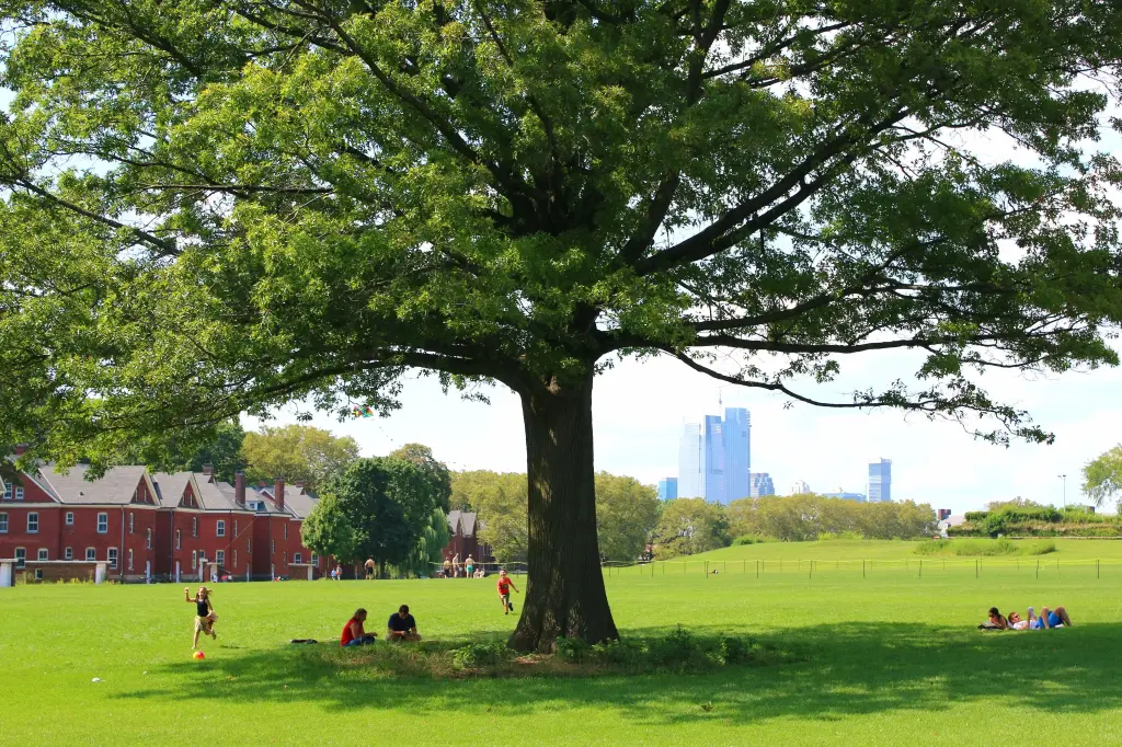 Study Reveals Hidden Air Quality Risks from New York City's Tree Planting Efforts