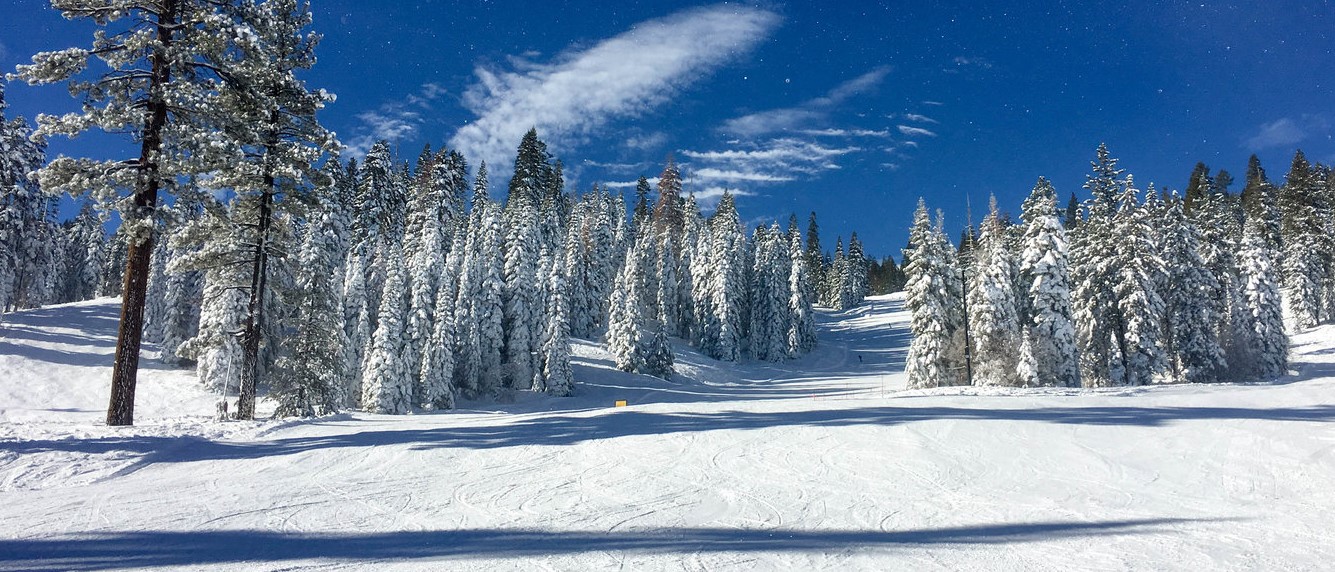 California's weather has presented a series of unexpected extremes