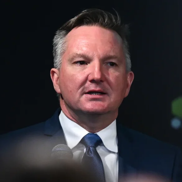 Albanese Rejects Climate Impact Assessments and Forestry Exemptions Amidst Ongoing Environmental Legislation Negotiations