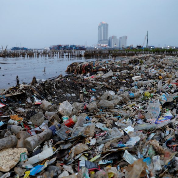 Australia Faces Plastic Pollution Crisis Amid Surge in Single-Use Waste and Recycling Challenges