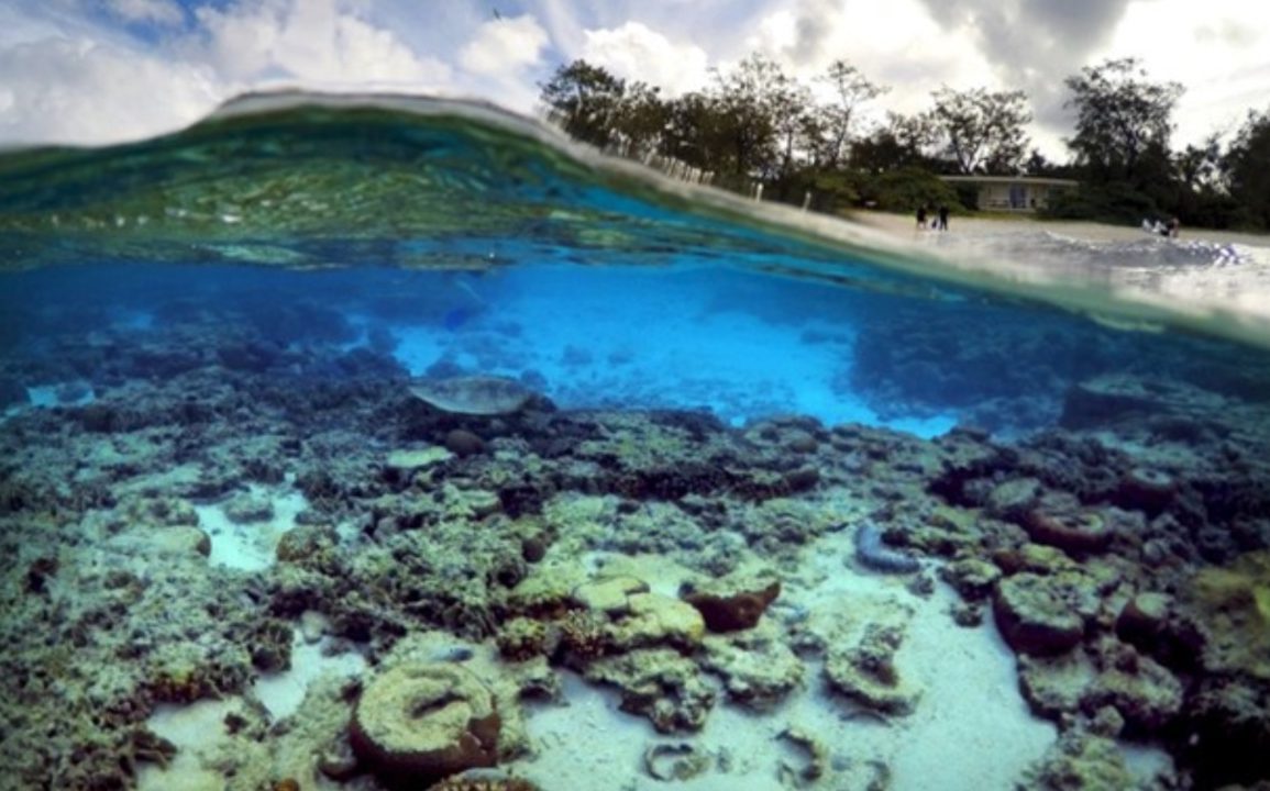 Australia's Tourism Industry Faces Major Climate Change Threats, With Over Half of Key Sites at Risk