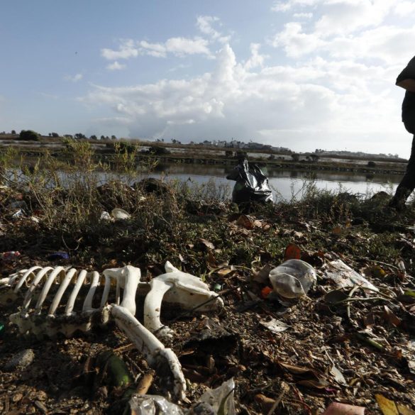 California Sues Exxon Mobil for Decades of Deception Over Plastic Pollution and Recycling Misrepresentation