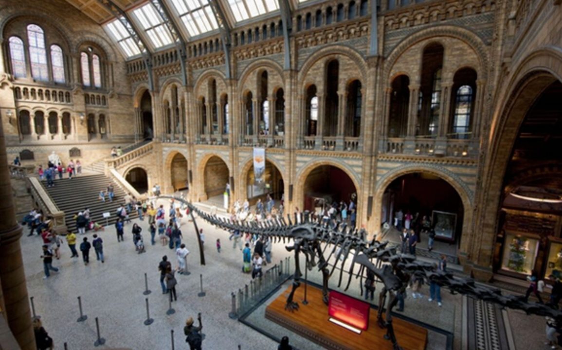 Natural History Museum in London Launches Major Initiative to Combat Climate Crisis and Inspire Environmental Advocacy