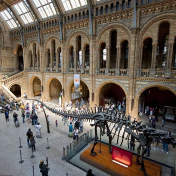 Natural History Museum in London Launches Major Initiative to Combat Climate Crisis and Inspire Environmental Advocacy