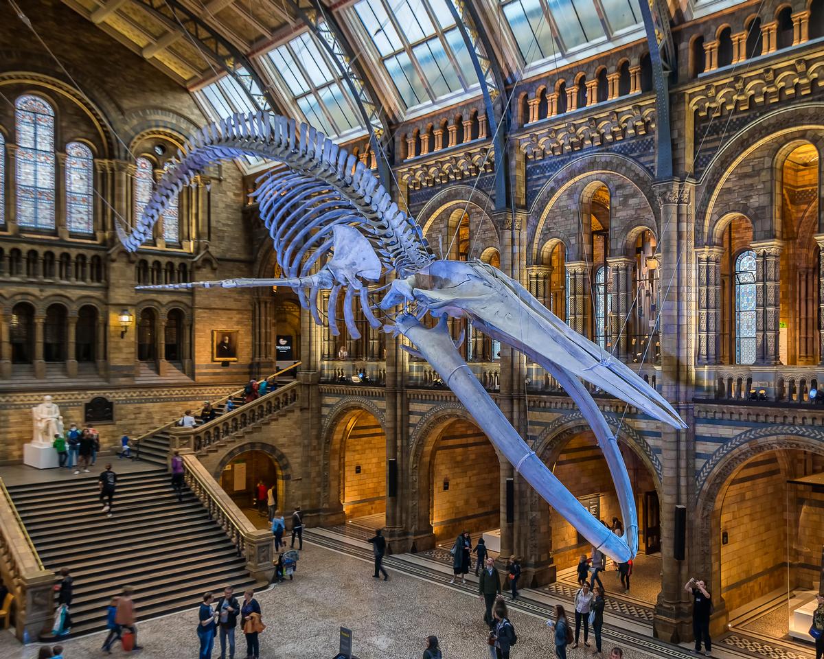 Natural History Museum in London Launches Major Initiative to Combat Climate Crisis and Inspire Environmental Advocacy