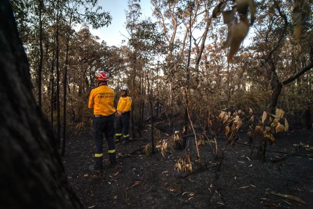 Sydney has experienced its hottest August day since 1995