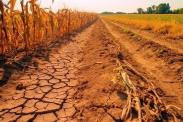 Ohio Residents Urged to Conserve Water as Drought Intensifies, Impacting Agriculture and Water Supply