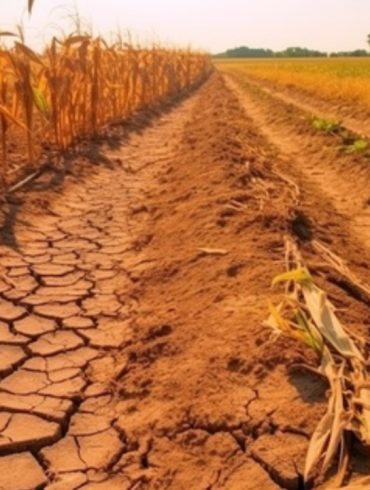 Ohio Residents Urged to Conserve Water as Drought Intensifies, Impacting Agriculture and Water Supply