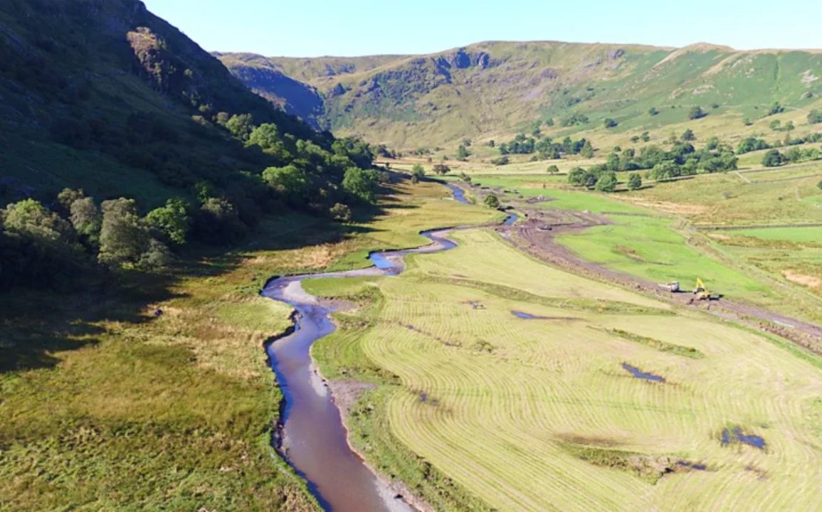 Restoring Meandering Rivers Proves Key to Flood Prevention and Biodiversity Conservation