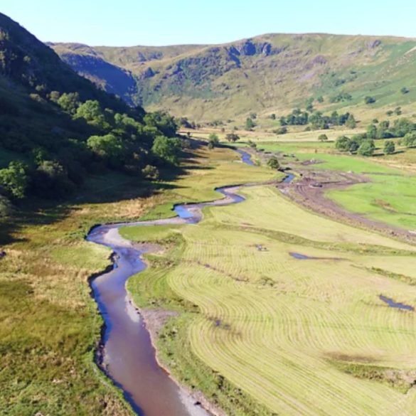 Restoring Meandering Rivers Proves Key to Flood Prevention and Biodiversity Conservation