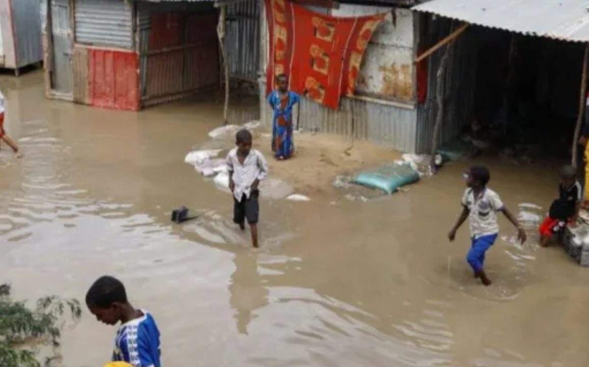 Somalia Struggles with Climate Change and Conflict but Sees Glimmers of Hope