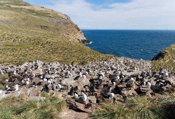 The summer in the UK and Ireland was notably cool