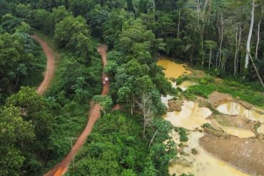 Artist Uses Polluted River Water to Highlight the Ecological Crisis of Illegal Gold Mining in Ghana