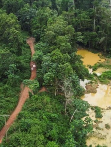 Artist Uses Polluted River Water to Highlight the Ecological Crisis of Illegal Gold Mining in Ghana