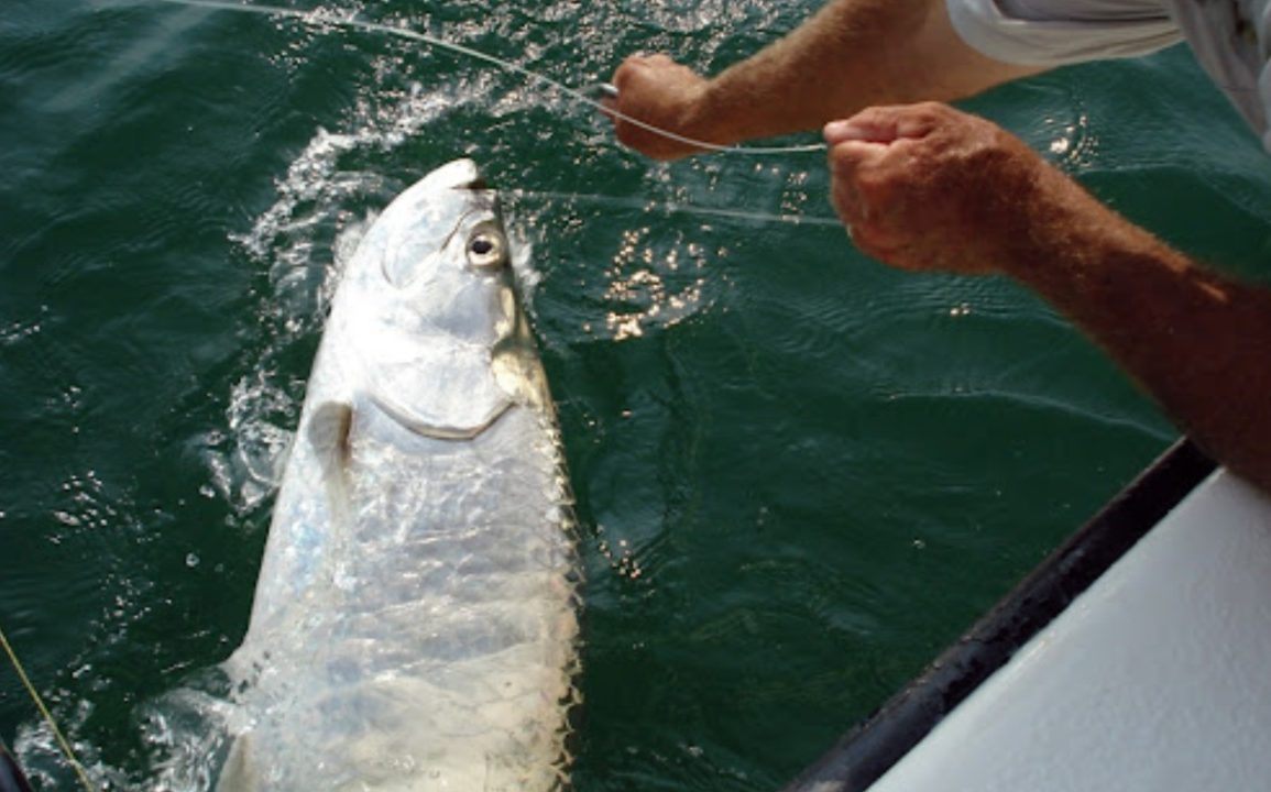 Captain Todd Romine Recalls Fishing’s Golden Days Amid Quiet Bays and Lingering Storm Impacts