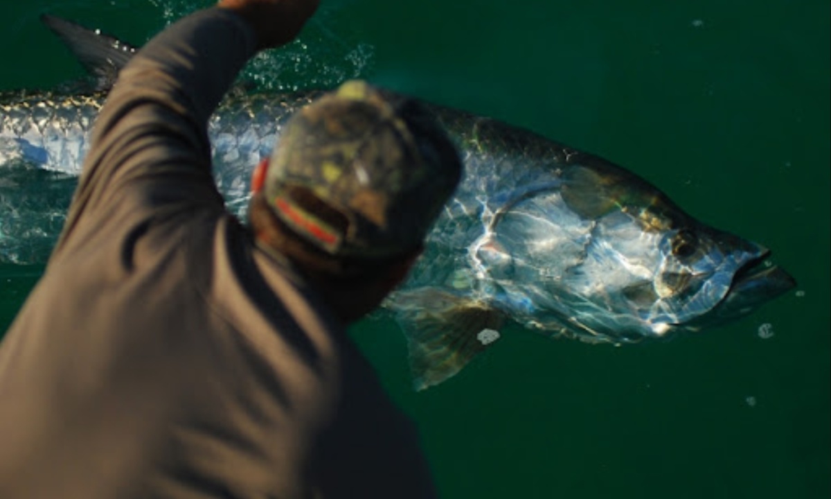 Captain Todd Romine Recalls Fishing’s Golden Days Amid Quiet Bays and Lingering Storm Impacts