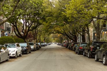 City Plans to Remove Dead Trees in Cherry Street Parking Lot Amid Urban Redevelopment and Environmental Concerns