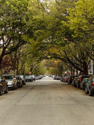 City Plans to Remove Dead Trees in Cherry Street Parking Lot Amid Urban Redevelopment and Environmental Concerns