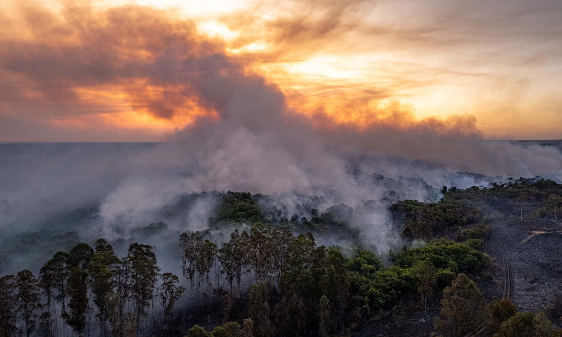 Confronting the Complex Relationship Between Hope and Despair Amid Global Environmental Crises