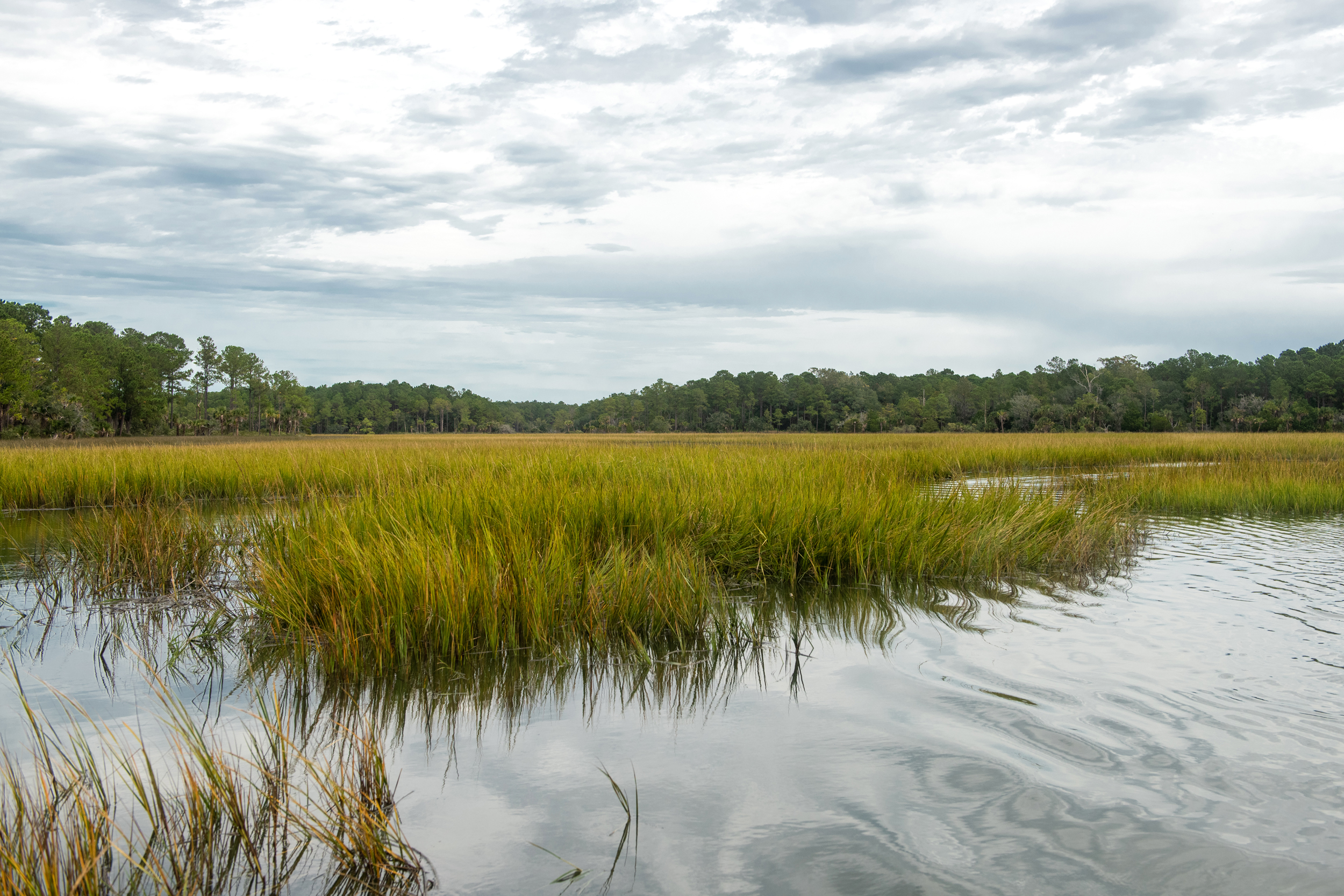 Endangered Bat Sparks Legal Battle Over South Carolina Development as Flood Risks Loom