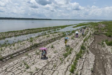 Facing Drought Challenges in the Amazon Fishermen Struggle with Low Water Levels and Food Scarcity