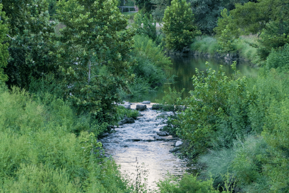 Initiative Transforms 150 Acres in Gover Ranch into Native Habitat, Reviving Ecosystems and Honoring Cultural Heritage