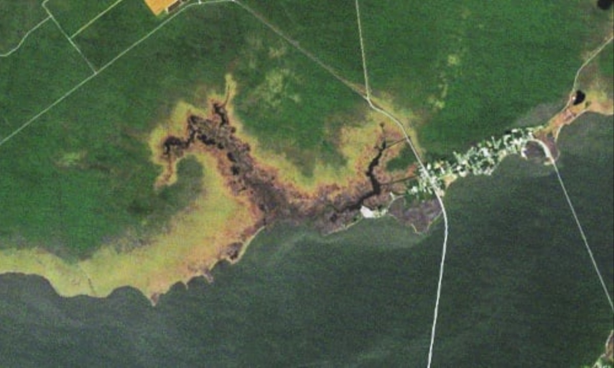 NASA Images Capture the Haunting Spread of “Ghost Forests” along North Carolina’s Coast