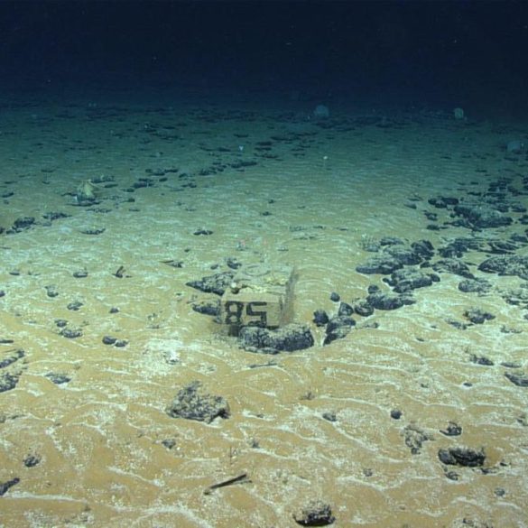 Nations Scramble to Claim Underwater Territories, Challenging Verne's Vision of the Deep Sea