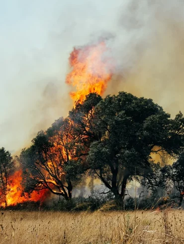 New Climate Report Warns of Unprecedented Environmental Extremes, Urging Immediate Action to Prevent Global Catastrophe