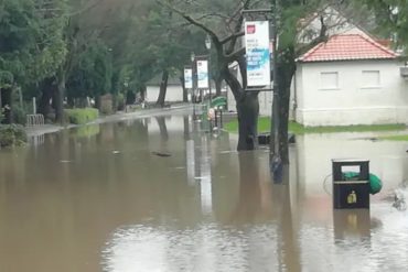 Pontypridd Bookshop Owner Vigilant as Flood Risks Persist Following Storm Dennis Devastation