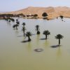 Rare Sahara Rainfall Transforms Desert into Blue Lagoons, Offering Relief Amid Long Drought