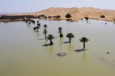 Rare Sahara Rainfall Transforms Desert into Blue Lagoons, Offering Relief Amid Long Drought