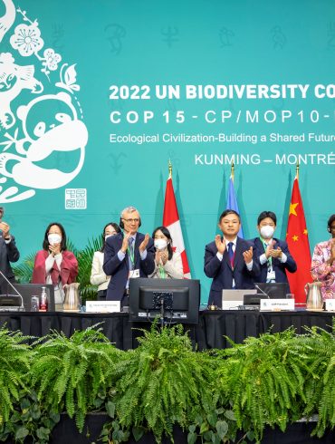 Slow Action on Cop15 Biodiversity Goals Risks Another Global Conservation Failure, Experts Warn