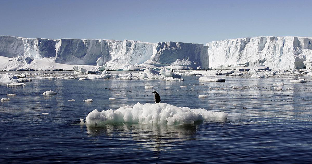 China and Russia Join Forces to Undermine Antarctic Conservation Efforts and Protect Marine Ecosystems