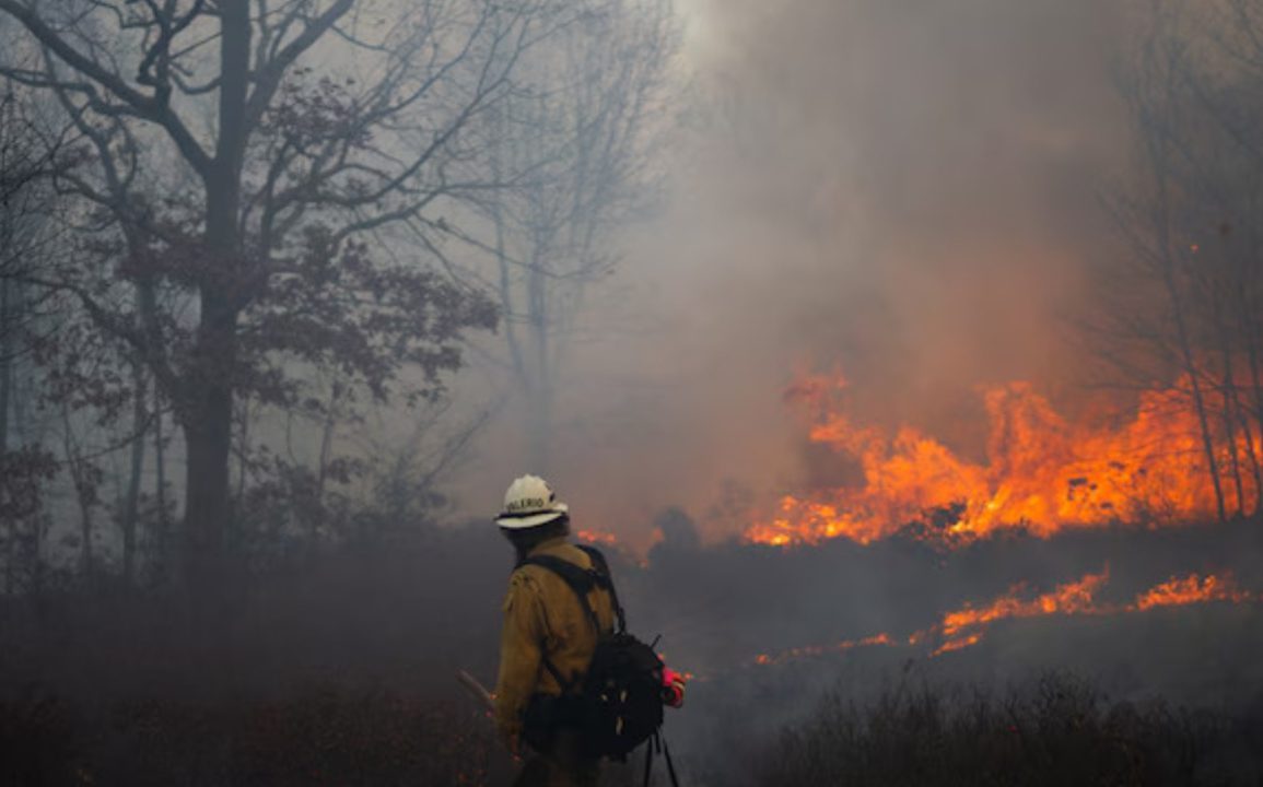 Drought Warning Issued in New Jersey as Wildfires Surge and Water Supply Faces Growing Threat