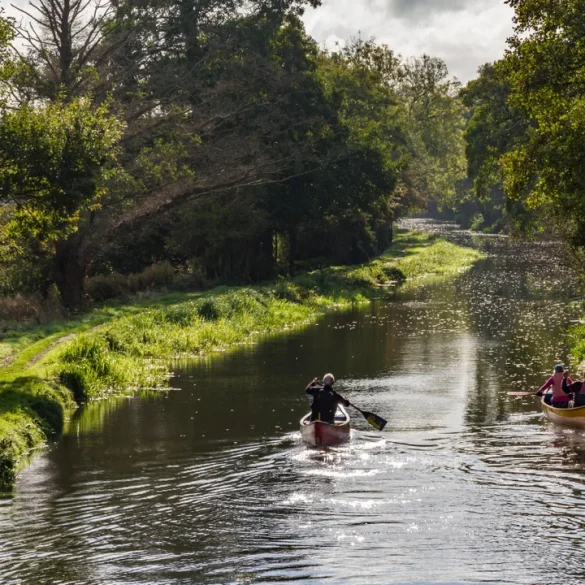 EU’s New Wastewater Standards Aim for Cleaner Rivers by 2035, Leaving UK Lagging on Pollution Reforms