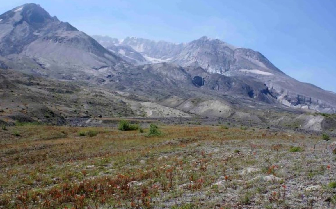 Gophers Revive Mount St. Helens How Unorthodox Science Transformed a Volcanic Wasteland