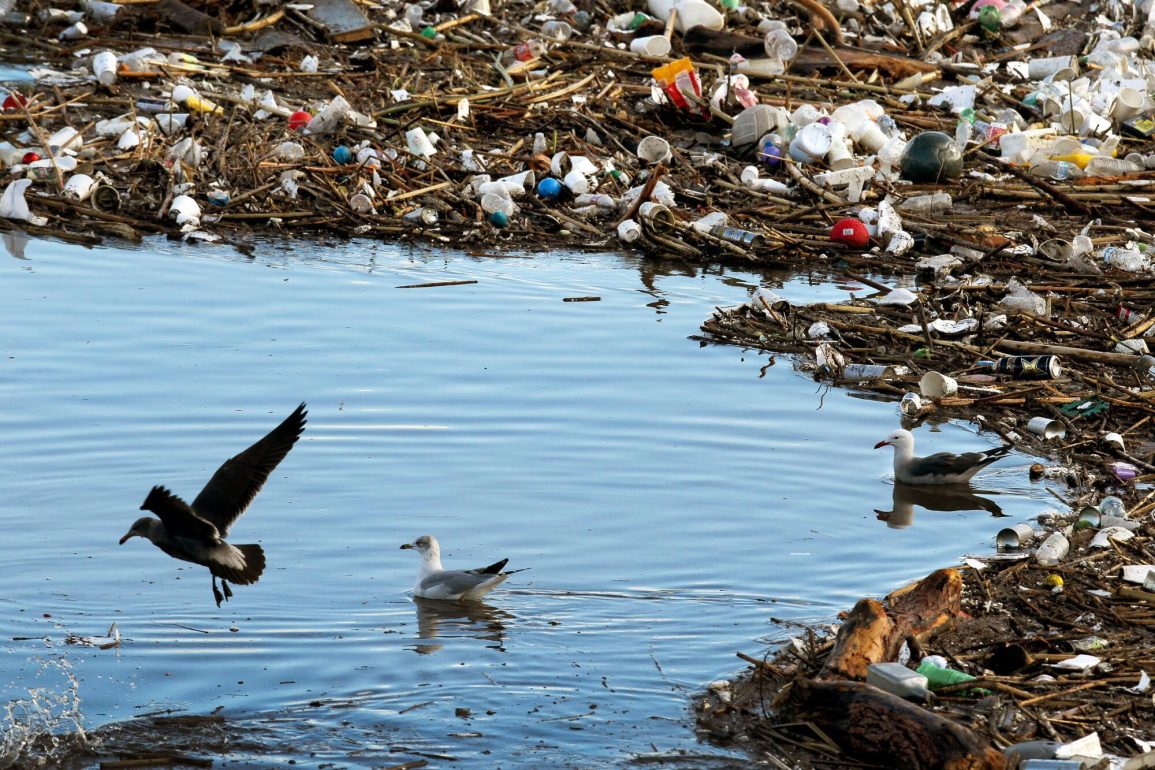 Los Angeles County Takes Legal Action Against Coca-Cola and PepsiCo for Deceptive Plastic Bottle Recycling Claims