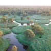 Murrumbidgee River Faces Severe Water Loss, Threatening Wetlands and Biodiversity, UNSW Study Reveals