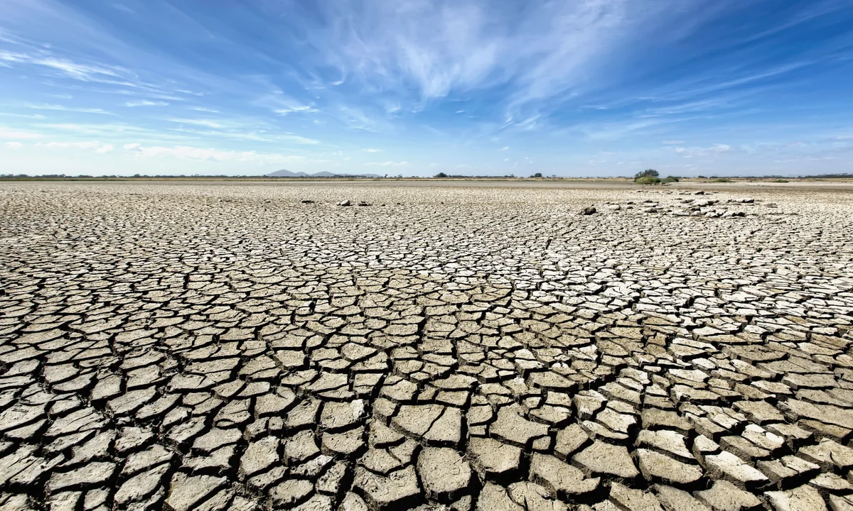 Saudi Arabia Calls for Global Action on Land Degradation as December Summit Approaches