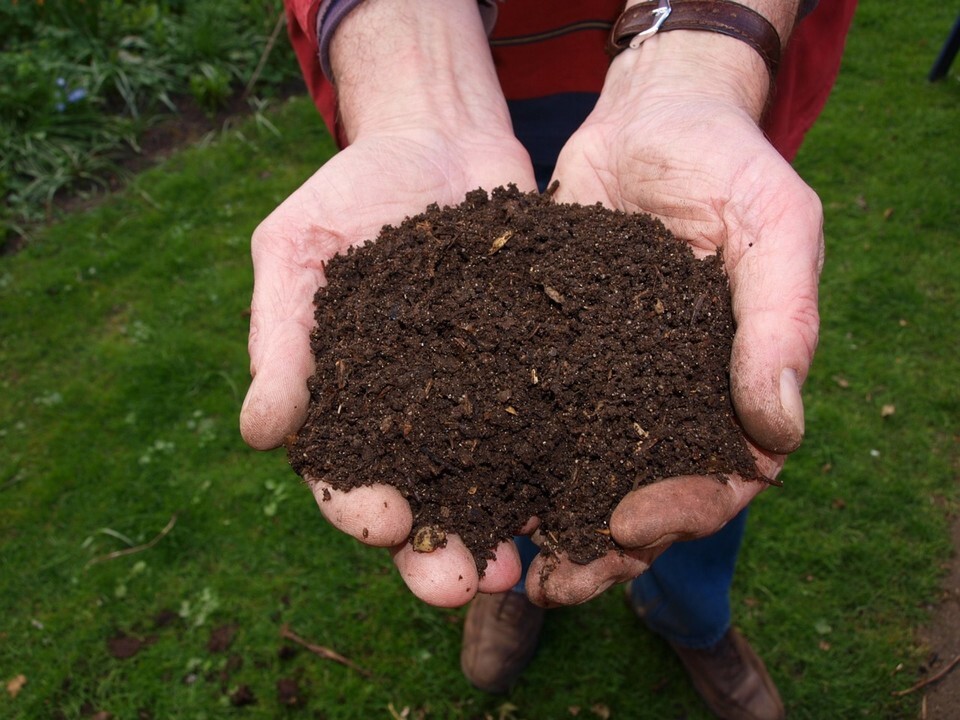 Study Reveals Bio-Based Plastics May Harm Soil Ecosystems, Raising Questions on Eco-Friendly Claims