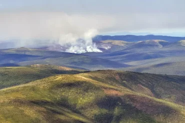 Arctic Tundra Becomes Carbon Source as Warming and Wildfires Trigger Alarming Climate Feedback Loops