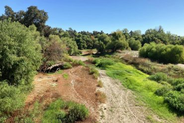 Merced River’s Drying Highlights California’s Water Crisis and Management Challenges Amid Climate Change