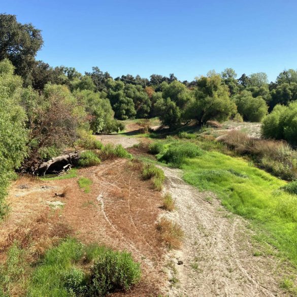 Merced River’s Drying Highlights California’s Water Crisis and Management Challenges Amid Climate Change