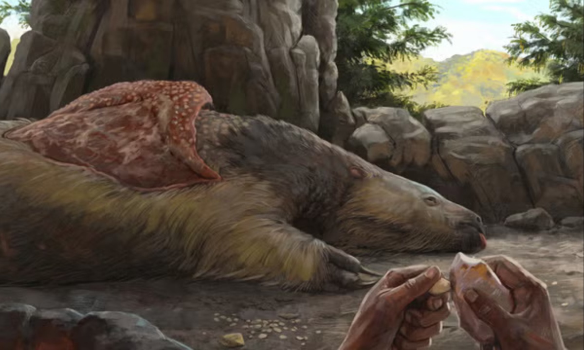 Prehistoric Sloths and Early Humans Coexisted in the Americas for Thousands of Years