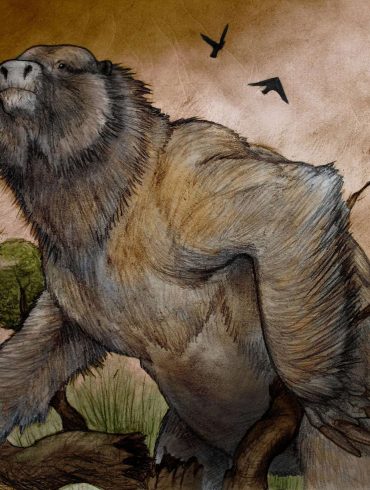 Prehistoric Sloths and Early Humans Coexisted in the Americas for Thousands of Years