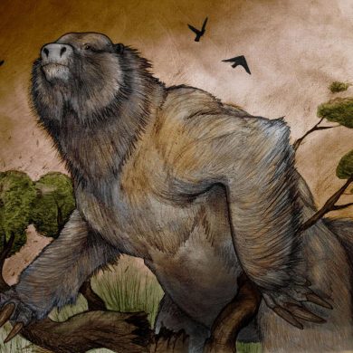 Prehistoric Sloths and Early Humans Coexisted in the Americas for Thousands of Years